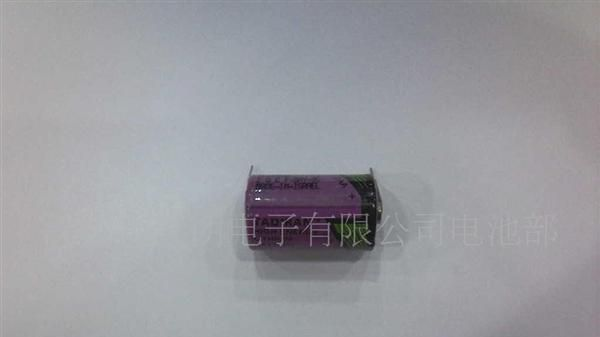 以色列耐高温电池  TL 5902