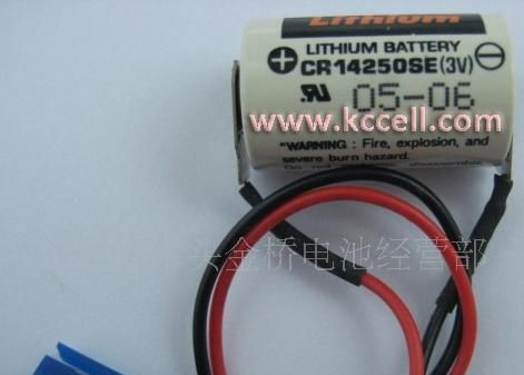 供应ALLEN BRADLEY 1746BAS电池
