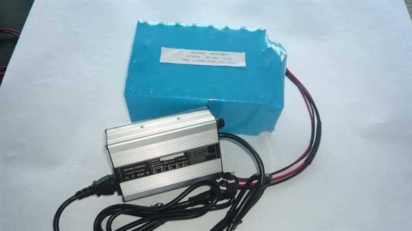 供应浙力48v10AH 磷酸铁锂电池组