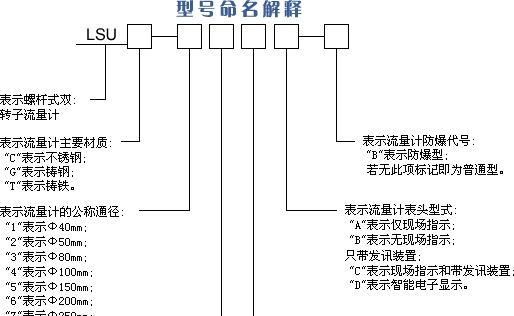 供应双转子流量计