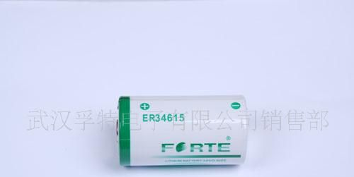 供应CR34615GPS跟踪器专用锂电池