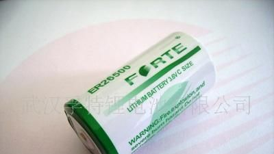 供应大口径水表电池ER26500锂电池