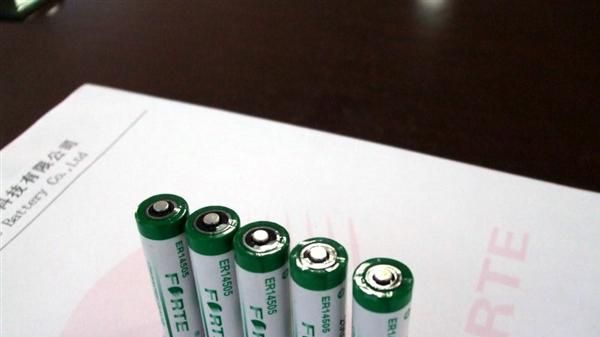 供应一氧化碳气体检测仪专用电池ER14335