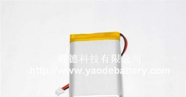 LED锂电池带精工保护板锂电池厂家(图)