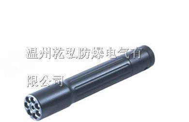 JW7300微型防爆电筒，@JW7300@