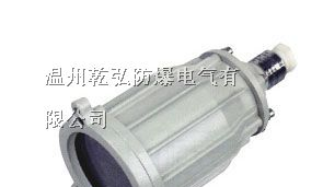 BSD防爆视孔灯||·防爆视孔灯·||