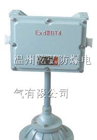 BCJ52防爆应急灯||·防爆应急灯·||