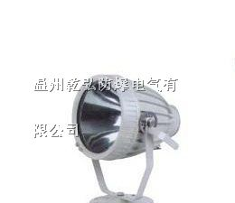BTD51防爆投光灯||·防爆投光灯·||