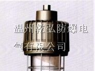 SBD1103免维护节能防爆无极灯||·防爆无极灯·||