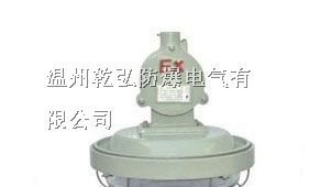 防爆环形灯,环形荧光灯,防爆荧光灯厂家