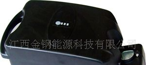 供应小青蛙型电动车用动力电池组