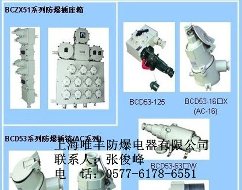 供应防爆检修电源插座箱|BXS-铸铝材质