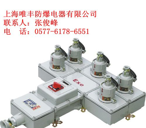 供应防爆插座箱＿380V/32A|BXS-6防护等级IP65