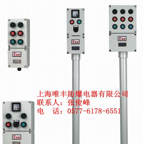 供应防爆操作柱＿LBZ-D2K1G立式安装|挂式防爆操作箱