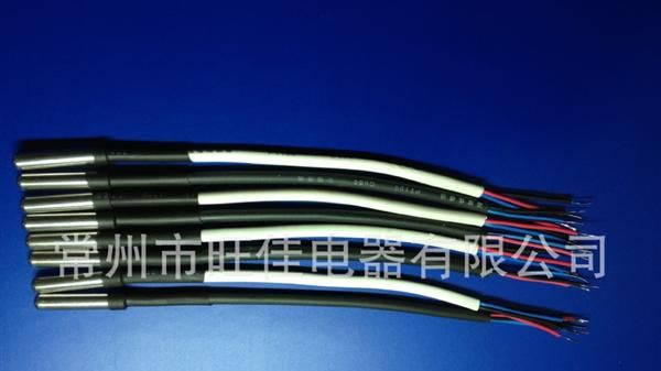 厂家直销DS18b20温度探头 温度传感器  防水型/数字型 感温探头