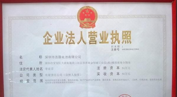 【厂家直销】无线话筒 9V镍镉/镍氢电池充电器 双充（卡装）