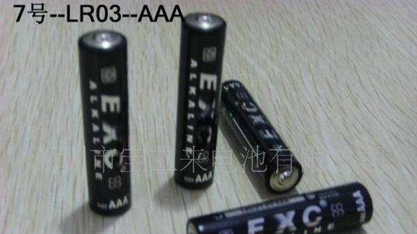 供应特价LR03-AAA-7号普通电池(图)