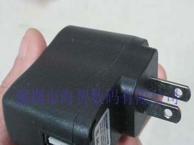 12V充电器 全波蝴蝶拔毛器充电器 电源适配器 带13003 USB接口