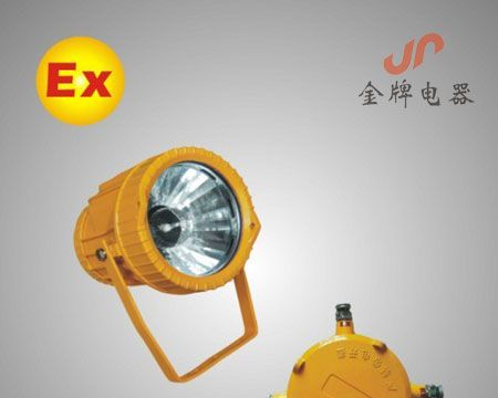 BTC8200/BTC8200A   防爆投光灯