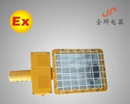 BTC6131   防爆泛光灯/（道路灯）