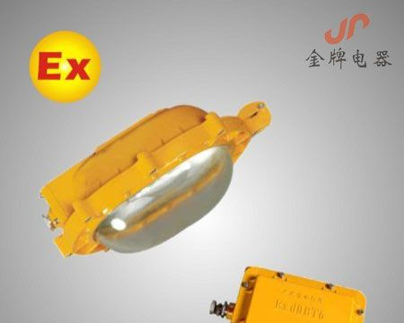 BFE8120 内场防爆应急灯