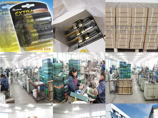 RIEDEN品牌碱性电池D,1.5V干电池