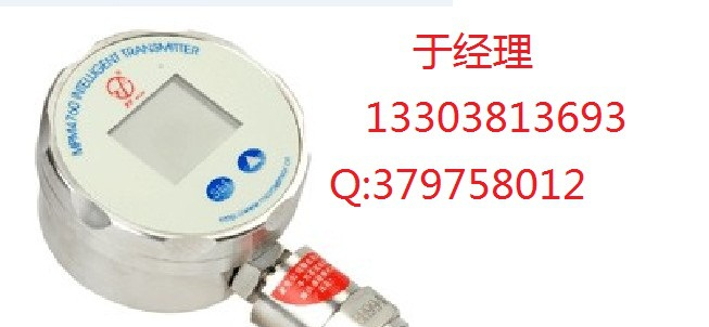 供应宝鸡 麦克 MPM4760型 智能  压力变送器 带数字显示