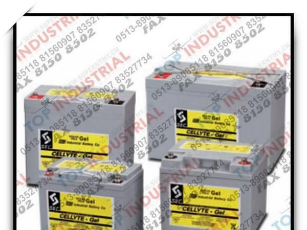 SEC电池，CELLYTE 6TLG ，CELLYTE 12TLG，英国SEC