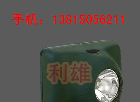 供应IW5110 固态防爆头灯