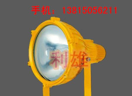 供应BTC8210_防爆投光灯