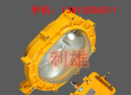 BFE8120_内场强光防爆应急灯