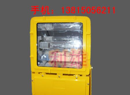 供应   BFC8110_防爆泛光灯