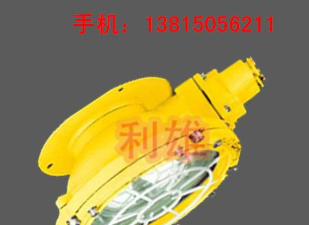 供应BCW6219 防爆吸顶灯