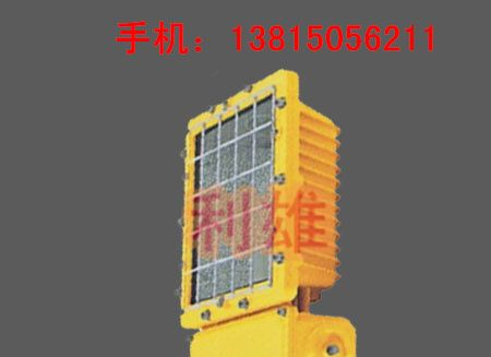 BAT53 一体式防爆泛光灯