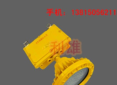 BFE8184_LED防爆应急灯