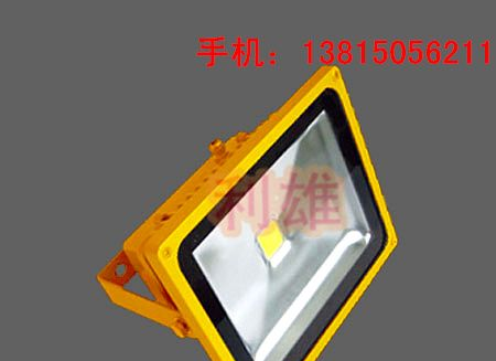 供应BFC8188_LED防爆投光灯