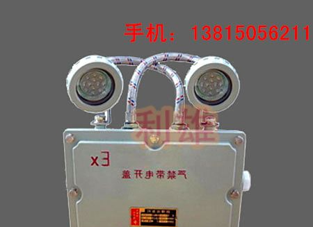 BFC8185_LED双头防爆应急灯