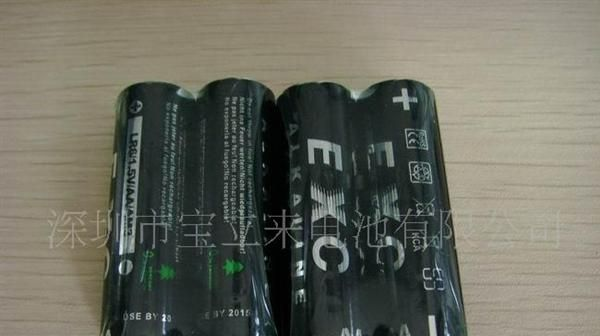 智能门锁专用高品质电池