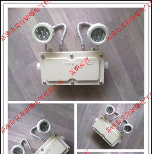 供应BAJ52-127V防爆应急灯，127V/220V防爆应急灯
