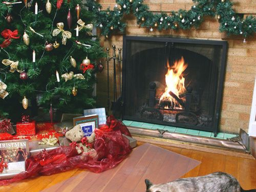 新款*宠物隔离静电毯*宠物训练毯 Scat Mat