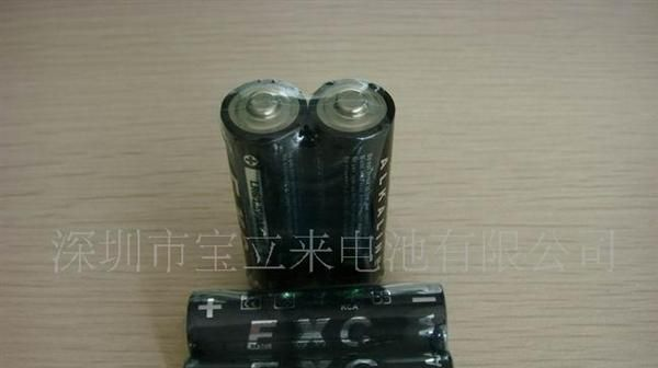 供应环保中性装AA电池
