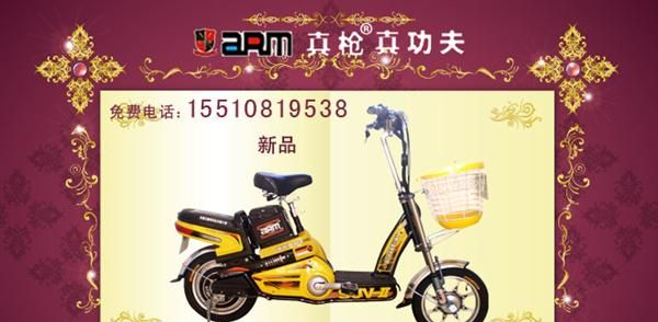 桥口区 符合新国标 锂电池 铅酸电池 控制器 【厂家招商】