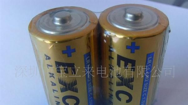 供应环保碱性D型大号LR20干电池 06-10 06-10