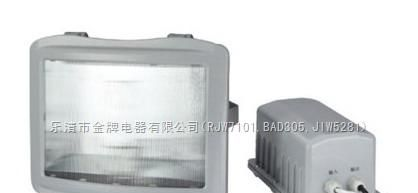 供应NSE9720防眩应急通路灯