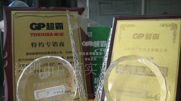 东芝碳性电池 东芝中号电池 东芝电池2号 东芝C号电池 R14电池