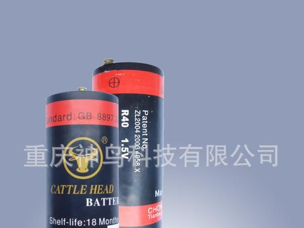 野外勘察高效储备电源R40甲电池