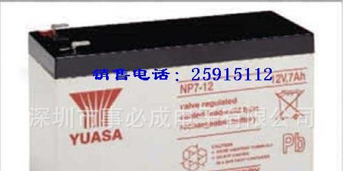 易斯特UPS电源易斯特蓄电池CSB铅酸蓄电池12V17AH/24AH/38AH特价