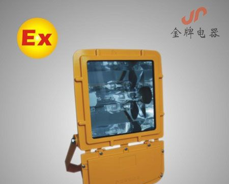 BFC8110 防爆泛光灯