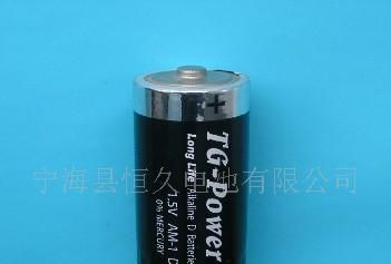 供应LR20碱性电池(大号环保电池)