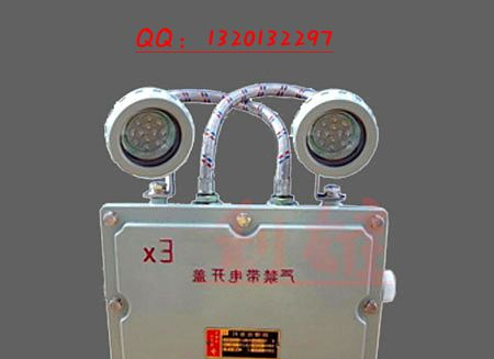 供应BFC8185_LED双头防爆应急灯